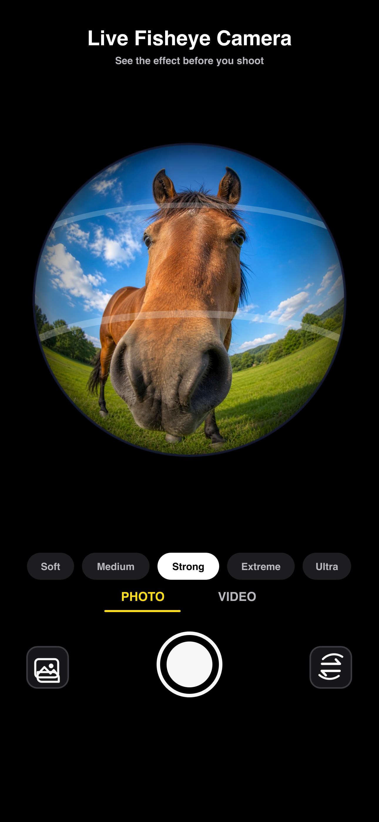 Fisheye โ WideEye